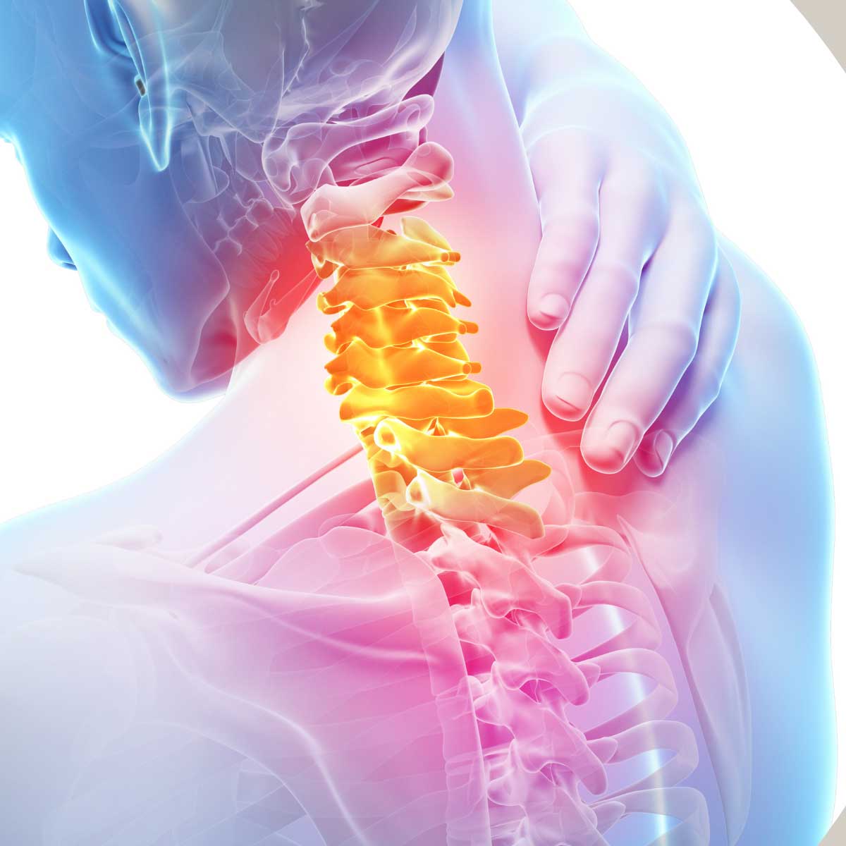 Neck Series Lab